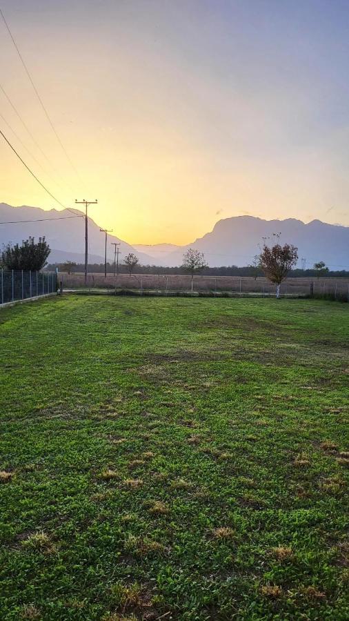 Countryside Apartments First Floor Trikala  Ngoại thất bức ảnh